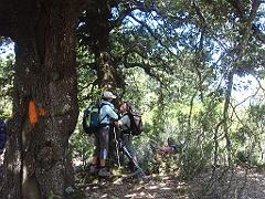 2009-05Corse (106)
